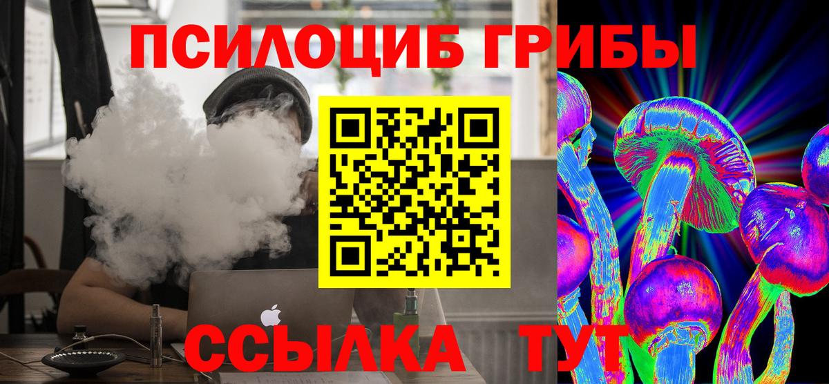 Галлюциногенные грибы Cubensis  как найти   Вход с VPN  Мелеуз  Галлюциногенные грибы Psilocybine cubensis 